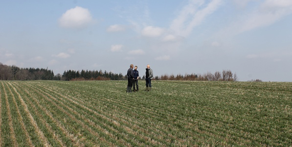Three men standing in a grass field.